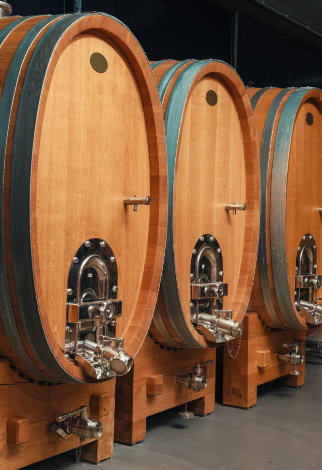 Wine barrels at Zlatý Roh