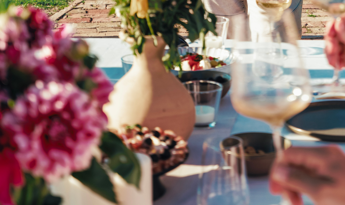 An evening at the Roh, dinner in the vineyard in Devín