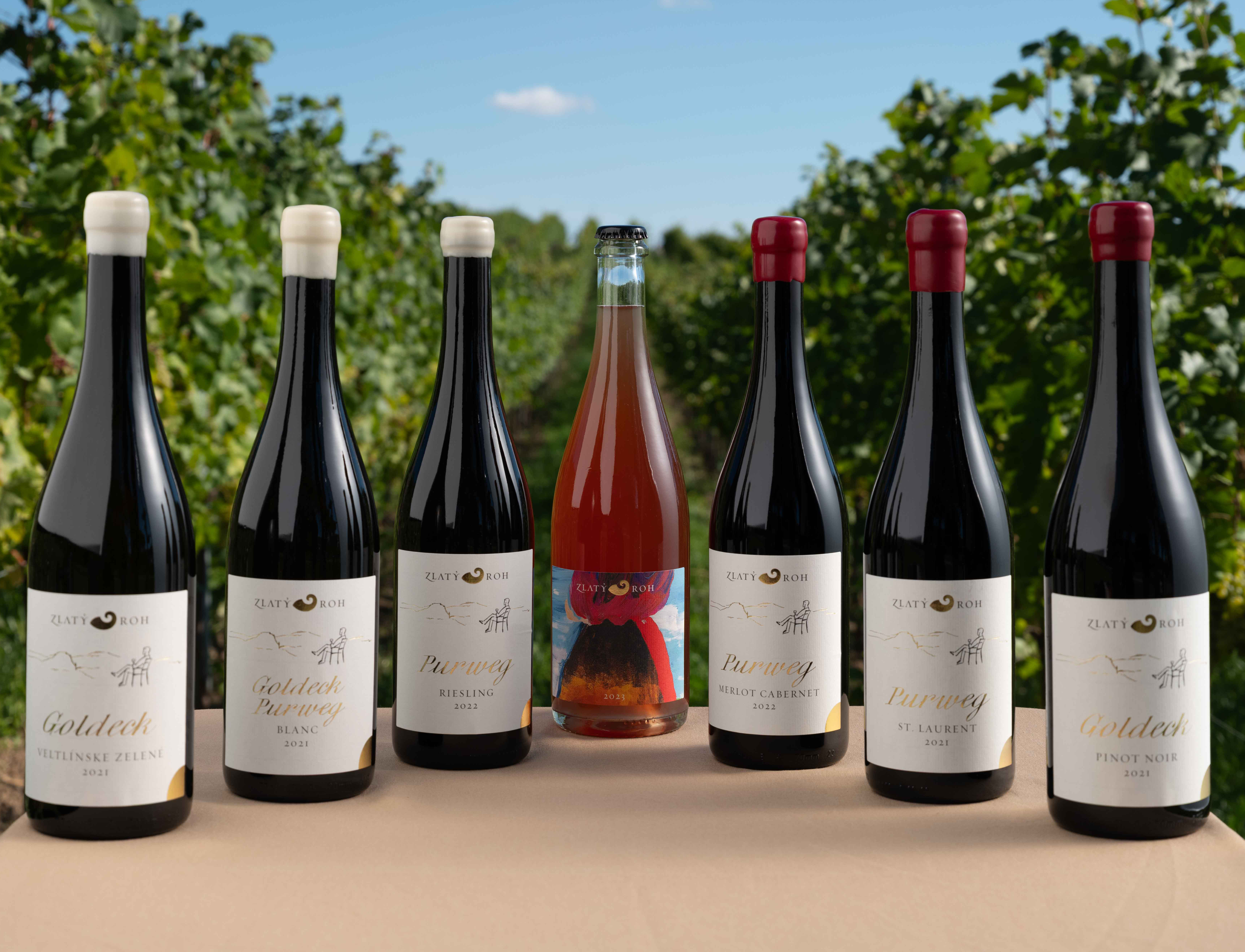 Biodynamischer Weinberg unterhalb von Devín