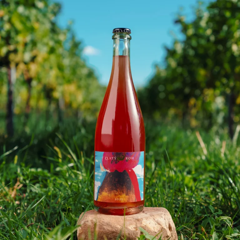 Pet-nat Rosé BIO