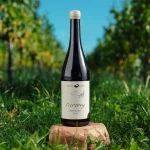 Riesling BIO